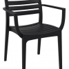 Danni Indoor or Outdoor Chair with Arms