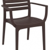 Danni Indoor or Outdoor Chair with Arms