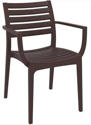 Danni Indoor or Outdoor Chair with Arms