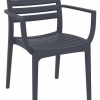 Danni Indoor or Outdoor Chair with Arms