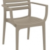 Danni Indoor or Outdoor Chair with Arms