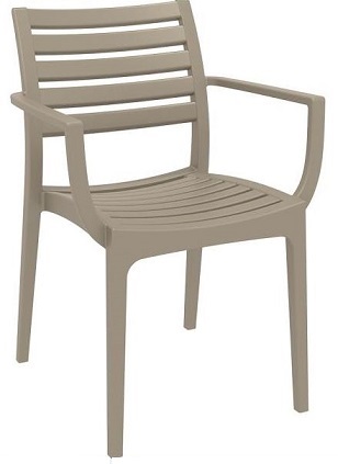 Danni Indoor or Outdoor Chair with Arms