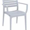 Danni Indoor or Outdoor Chair with Arms