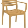 Danni Indoor or Outdoor Chair with Arms