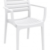 Danni Indoor or Outdoor Chair with Arms