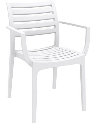 Danni Indoor or Outdoor Chair with Arms