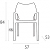 Pisa Indoor or Outdoor Chair
