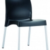 Raneri Indoor or Outdoor Chair without Arms