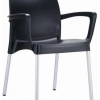 Raneri Indoor or Outdoor Chair with Arms