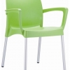 Raneri Indoor or Outdoor Chair with Arms