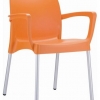 Raneri Indoor or Outdoor Chair with Arms