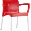 Raneri Indoor or Outdoor Chair with Arms