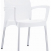 Raneri Indoor or Outdoor Chair with Arms