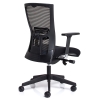 Naples Executive Chair