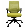 Prima Pro High Back Chair, Green