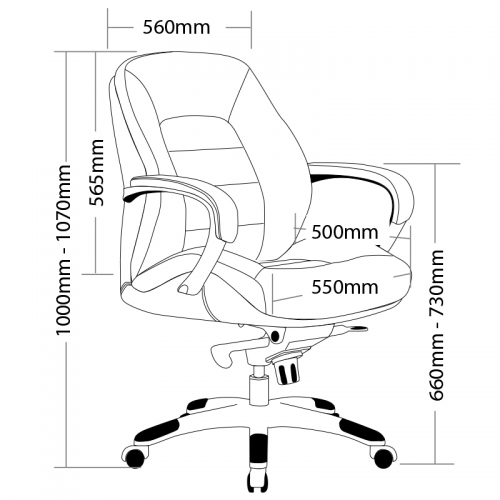 Baxter Leather Medium Back Executive Chair