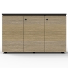 Effect Hinged Door Credenza