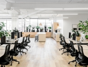 Commercial Office Fitouts