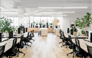 Commercial Office Fitouts